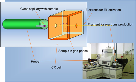 fig1